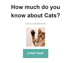 Find the answers to some of the most commonly asked questions about cats, including questions about litter box training, grooming, behavior, aggression and everything in between. Quiz Cat Wordpress Quiz Plugin Wordpress Plugin Wordpress Org