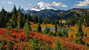 Check spelling or type a new query. Mt Rainier National Park Seattle Youtube
