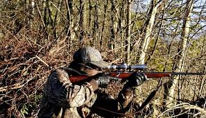 Michigan Bill Aims To Extend Firearm Deer Hunting Season