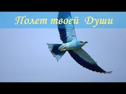 музыка для телефона на звонок слушать и скачать бесплатно Mantra Isceleniya Dushi Youtube Mantra Muzyka Meditaciya