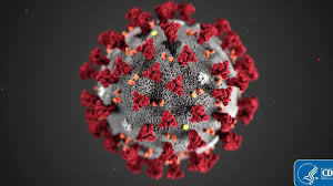 Variant was first identified in may in the south african provinces of mpumalanga and gauteng, where johannesburg and the capital, pretoria, are situated, the scientists said in a research paper. First Case Of South African Covid 19 Variant Discovered In Wisconsin