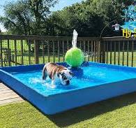 Dog Wading Pool Water Play Feature