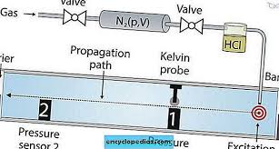 Linear assumption berarti perubahan pada suatu tur xi mengakibatkan perubahan yang konstan terhadap output, walaupun seberapa besar/kecil nilai xi tersebut. Proton Pada Kelajuan Bunyi Meramalkan Isyarat Biologi Tertentu Dari Fizik Laporan Saintifik Laporan Saintifik 2021