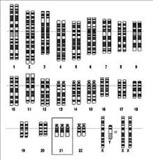 Soal Simak Ui 2017 Biologi Kode Soal 341 Myrightspot Com