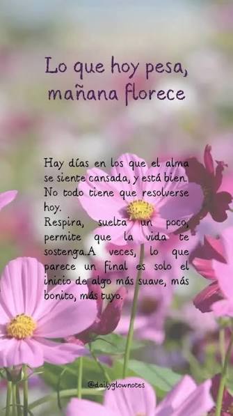 Imagenes Frases Positivas Cortas