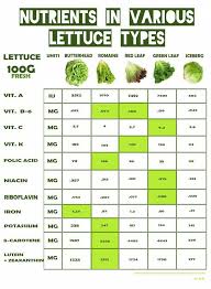 Effective Nutrition Plan And Note To Collate Today Practical Nutrition Pin Link Ref 7486457098 Healthyn Lettuce Nutrition Lettuce Benefits Types Of Lettuce