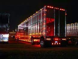 Light Up The Night Light Show Light Up Lights