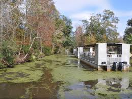 Greyhound bus trips from atlanta to new york. Reviews For 7 Day New Orleans St Louis And Chicago Tour From Atlanta