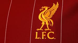 Adidas kinder dfb heim replica trikot. Trikot Der Woche 10 Liverpool Fc Home Kit 2019 20