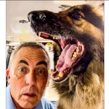 Dial A Dog Wash Bewdley