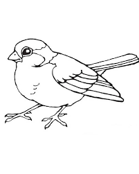 Bird Pictures To Color Little Bird Coloring Page Color Luna Bird Drawings Bird Coloring Pages Animal Coloring Pages