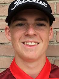 Meet the 2017 All-Livingston County boys' golf team