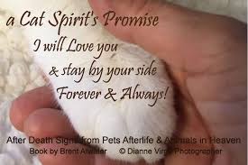 10 best pet memorial poems. Dealing With Loss Of Pet Signs From Heaven Pet Animal Souls Brent Atwater