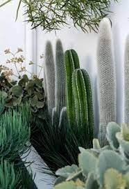 However, its lack of credibility on privacy, unstable servers, and slow internet speeds are too limiting. 200 Plants Ideas In 2021 Plants Indoor Plants Plant Decor