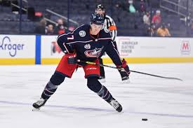 The nhl expansion draft simulator tool can be used to simlulate what the upcoming las vegas the 30 nhl clubs must submit their protection list by 5:00 p.m. Vgympwoqlqp 4m