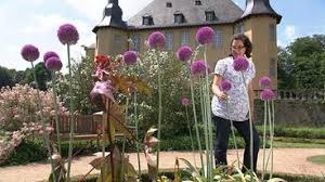 Liebe zuschauer, die ratgeber in ihrer herkömmlichen form gibt es nicht mehr. Top Five Von Carolin Prause Ratgeber Haus Garten Ard Das Erste