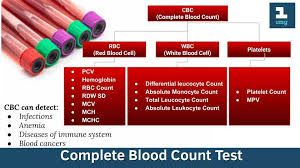 What does a complete blood count measure? Facebook