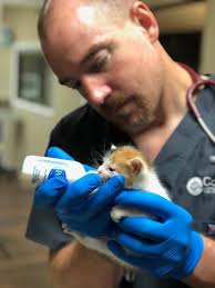Dr. Barham giving some TLC to our tiniest patient! 🐱🍼❤️