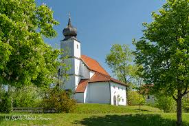 Kirche St Johann Baptist Steinbrunning In 2020 Feuchtbiotop Kopfweide Teisendorf