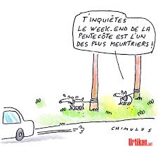 Maybe you would like to learn more about one of these? Temps De Chien Pour Le Week End De La Pentecote Dessin De Chimulus Urtikan Net