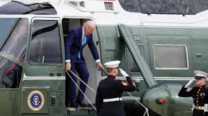 Image result for Bidens sp.no.1