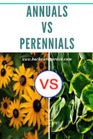 Annual Plants Vs Perennial Plants Annuals Vs Perennials Perennials Annual Plants