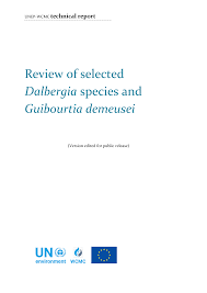 Image result for Guibourtia schliebenii