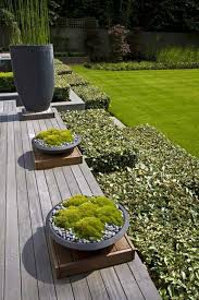 How To Decorate With Moss In Your Garden Small Garden Design Moss Garden Garden Design
