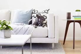 We did not find results for: Yzdjuok8t0tw0m