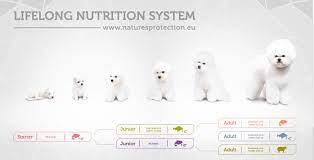 Nature S Protection Superior White Dogs Pet Food From Puppy To Adult Dog Cat And Dog Feeds Natures Protection Superior Care