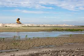 The marker wadden are a range of islands currently being created in the markermeer lake; New Nature Marker Wadden Visit Flevoland