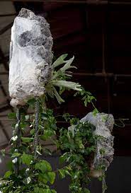 Succession Was Created For The 20th Biennale Of Sydney The Future Is Already Australian Plants Concrete Garden Plant Structure
