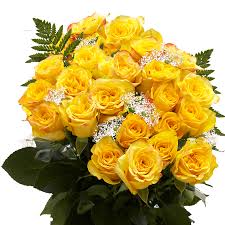 Same day, every day / free delivery. Two Dozen Yellow Valentine S Day Roses Free Delivery Globalrose