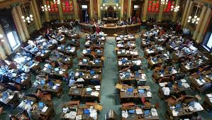 Candidates compete for seats