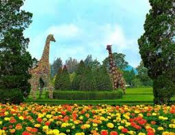 Taman bunga nusantara terlihat seperti taman bunga yang berada di eropa lho. Wisata Taman Bunga Nusantara Cipanas Yang Wajib Dikunjungi Tempatwisataunik Com