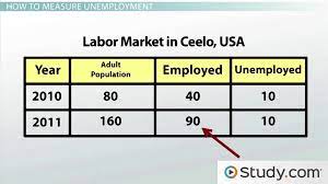 So how do economists arrive at the percentages in and out of the labor force and the unemployment rate? Defining And Measuring The Unemployment Rate Video Lesson Transcript Study Com