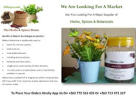 Image result for Fadogia ancylantha