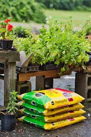 Avoid misusing native soil and garden soil in containers. Garden Soil Vs Potting Soil The 7 Biggest Differences Bob Vila