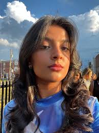 STEBoard — NYU STEBA