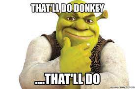 That Ll Do Donkey