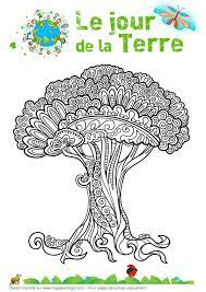 page 1 sur 35 hugolescargot com jour de la terre coloriage dessin coquillage