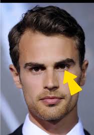 Face Symmetry Theo James