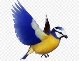 Bird Perching Bird Eurasian robin bird illustration, bird icon, birds,birds, animals, fauna png. bird perching bird