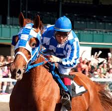 Miss hamm says, he's posing again! but the movement of her lips doesn't match the words she is saying. Secretariat Movie Horse Movies Secretariat Horse Thoroughbred Horse Racing