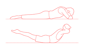 We did not find results for: Crocodile Pose Makarasana Dimensions Drawings Dimensions Com