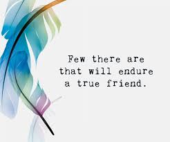 True Friends Quote 6 Quotereel