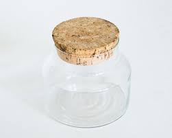 Large Modern Glass Apothecary Jar Cork Lid Terrarium Planter Etsy Glass Apothecary Jars Apothecary Jars Modern Glass