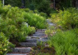 After The Hurricane The Resurrection Of A Wild Garden In Maine Gardenista In 2020 Rock Garden Landscaping Garden Landscaping Diy Native Garden