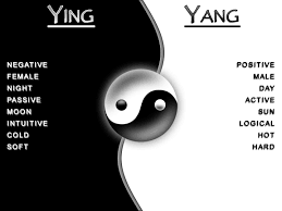 Yin Yang Best Of Both Worlds Ying Yang Symbol Yin Yang Ying Yang