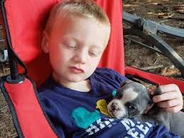 Rescued puppy mill survivor finds forever love